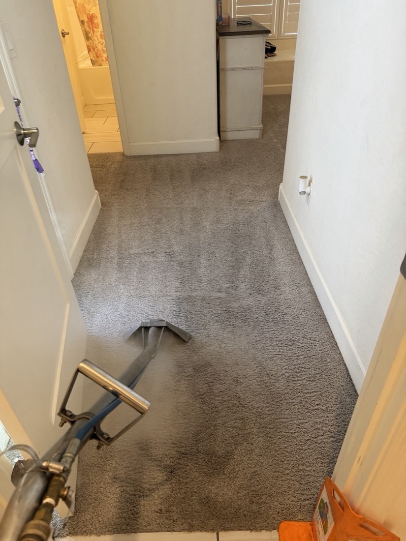 A hallway carpet cleaned with the wand beside the door
