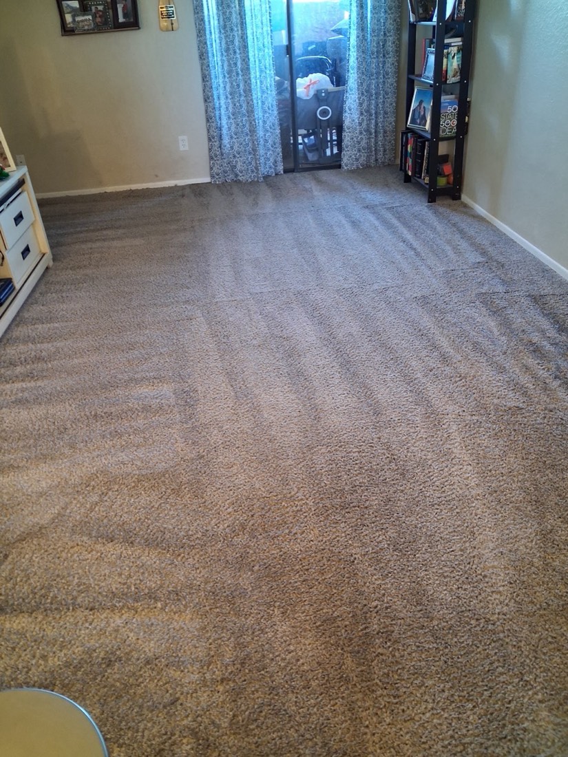 A large room with fresh even carpet lines